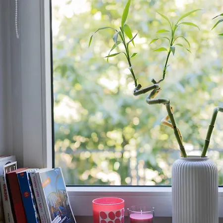 With Terrace And A Free Parking